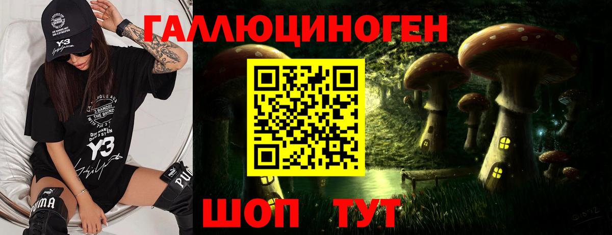 Псилоцибиновые грибы Psilocybine cubensis  Вход с VPN  Арсеньев 